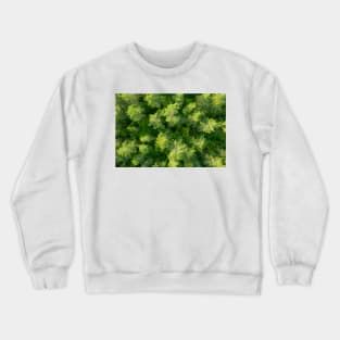 Aerial view of pine forest Crewneck Sweatshirt